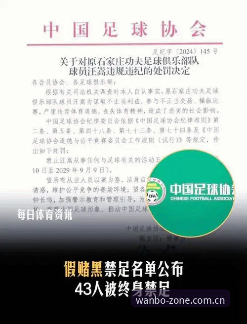 资深球迷亲历：从足协第三批禁足名单看中国足球的破茧时刻